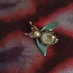 Insect brooch